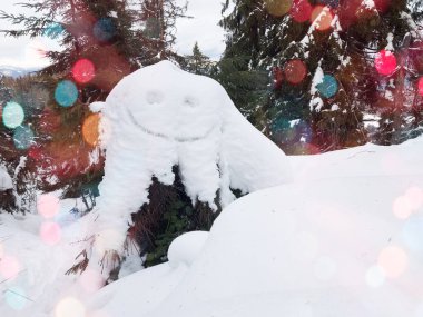 Karla kaplı bir ağaç kütüğü.