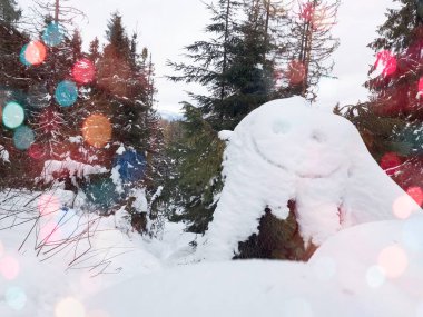 Ormanın ortasında karla kaplı bir ağaç kütüğü.