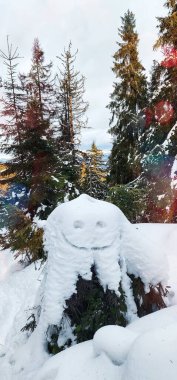 Karlı bir ormanın ortasında karla kaplı bir ağaç kütüğü.