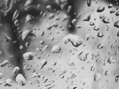 Yağmur damlalarıyla kaplı bir pencere.