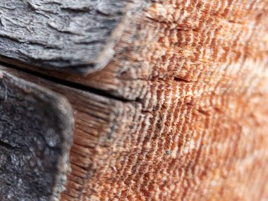 Bir odun parçasının yakın plan görüntüsü.