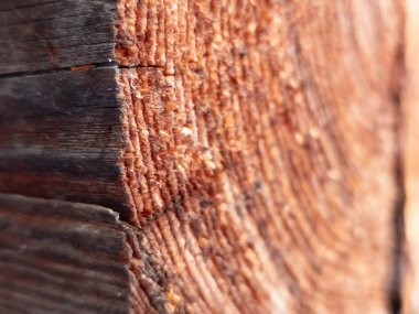 Yakın plan bir tahta parçası.