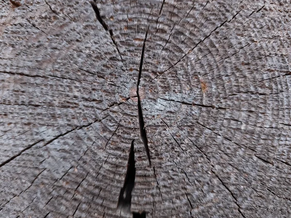 a piece of wood with a cross section cut in it