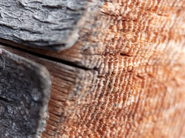 Bir odun parçasının yakın plan görüntüsü.