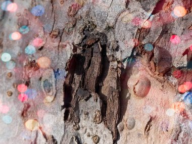 Kırmızı ve pembe ışıkları olan Noel ağacı