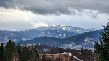 Dağları ve ormanı olan güzel bir manzara.