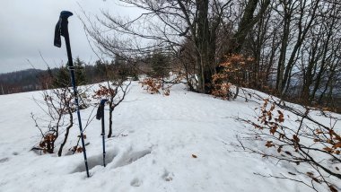 Alplerdeki kış ormanlarında yürüyüş, Almanya