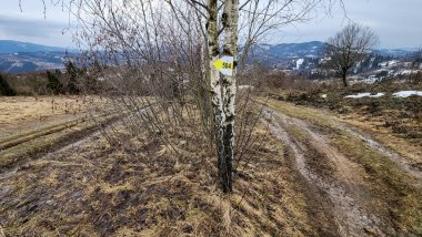Bulanık arka planı olan eski bir tahta tabelanın dikey görüntüsü.