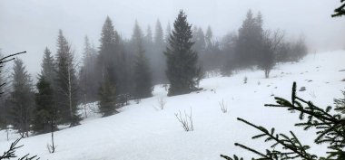 Karla kaplı ağaçlarla kaplı güzel kış manzarası