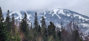 Kar - kışın karla kaplı dağlar, Slovakya