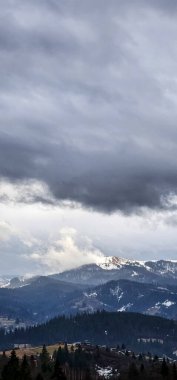 Arkasında bir dağ ve bir ağaç olan kış manzarası.