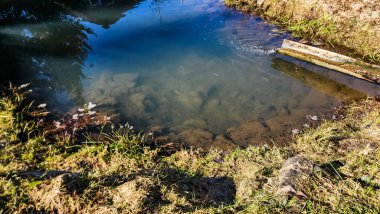 Küçük taşları ve yeşil otları olan küçük bir nehir.