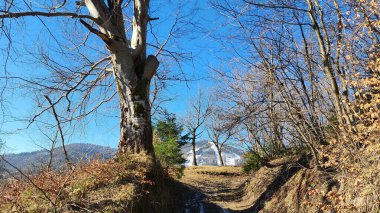 Doğanın güzel manzarası