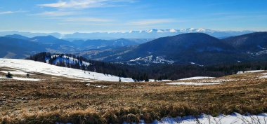 Karlı ve ağaçlı güzel dağ manzarası