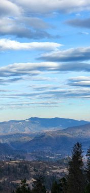 Ağacı ve dağı olan güzel bir manzara.