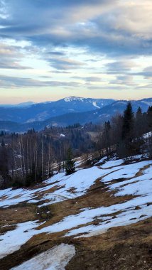 Arkasında bir dağ olan güzel bir manzara.