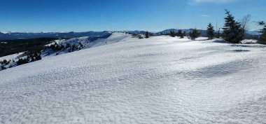 Karla kaplı ağaçlarla kaplı kış manzarası