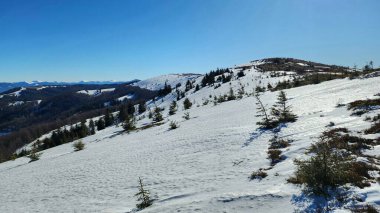 Dağları ve ormanı olan güzel bir manzara.
