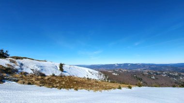 Karla kaplı ağaçlarla kaplı güzel kış manzarası