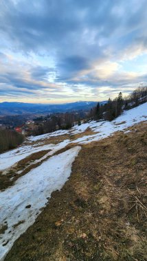 Karla kaplı ağaçlarla kaplı kış manzarası