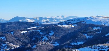 Karla kaplı ağaçlarla kaplı güzel kış manzarası