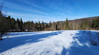 Karla kaplı ağaçlarla kaplı kış manzarası