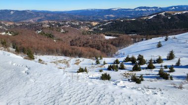 Karla kaplı ağaçlarla kaplı kış manzarası