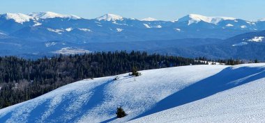 Karla kaplı ağaçlarla kaplı güzel kış manzarası