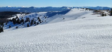 Karla kaplı güzel bir manzara - ağaçlarla kaplı