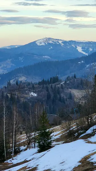 Ormanda ağaçla kaplı kış manzarası