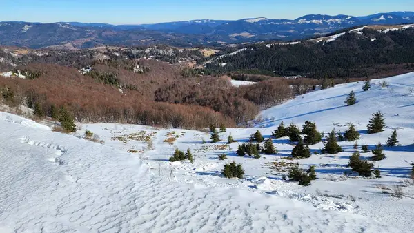 Karla kaplı ağaçlarla kaplı kış manzarası