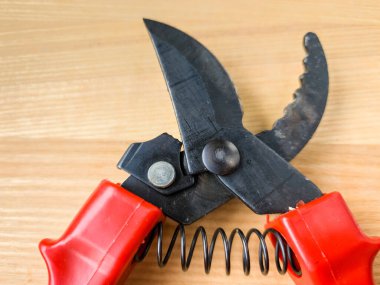 Canlı kırmızı saplı siyah bir bahçe budama makinesi kullanıma hazır, işlevselliği bir renk patlaması ile harmanlıyor. Bu kullanışlı araç kolay ve stil ile bahçıvanlık görevleri ele almak için hazırlanmış.