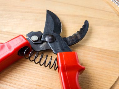 Canlı kırmızı saplı siyah bir bahçe budama makinesi kullanıma hazır, işlevselliği bir renk patlaması ile harmanlıyor. Bu kullanışlı araç kolay ve stil ile bahçıvanlık görevleri ele almak için hazırlanmış.