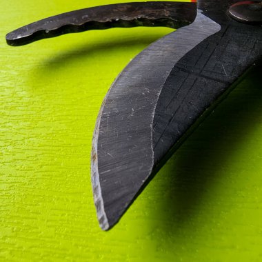 Canlı kırmızı saplı siyah bir bahçe budama makinesi kullanıma hazır, işlevselliği bir renk patlaması ile harmanlıyor. Bu kullanışlı araç kolay ve stil ile bahçıvanlık görevleri ele almak için hazırlanmış.