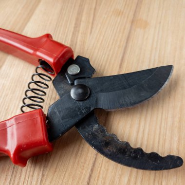 Canlı kırmızı saplı siyah bir bahçe budama makinesi kullanıma hazır, işlevselliği bir renk patlaması ile harmanlıyor. Bu kullanışlı araç kolay ve stil ile bahçıvanlık görevleri ele almak için hazırlanmış.