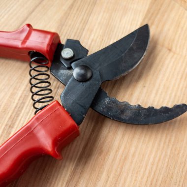 Canlı kırmızı saplı siyah bir bahçe budama makinesi kullanıma hazır, işlevselliği bir renk patlaması ile harmanlıyor. Bu kullanışlı araç kolay ve stil ile bahçıvanlık görevleri ele almak için hazırlanmış.