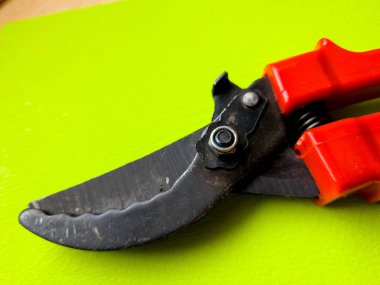 Canlı kırmızı saplı siyah bir bahçe budama makinesi kullanıma hazır, işlevselliği bir renk patlaması ile harmanlıyor. Bu kullanışlı araç kolay ve stil ile bahçıvanlık görevleri ele almak için hazırlanmış.