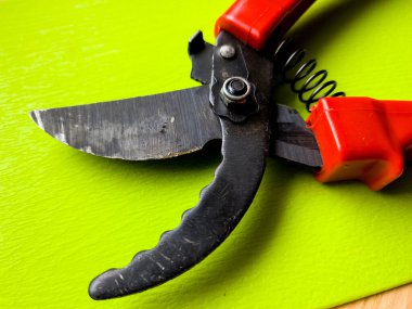 Canlı kırmızı saplı siyah bir bahçe budama makinesi kullanıma hazır, işlevselliği bir renk patlaması ile harmanlıyor. Bu kullanışlı araç kolay ve stil ile bahçıvanlık görevleri ele almak için hazırlanmış.