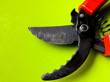 Canlı kırmızı saplı siyah bir bahçe budama makinesi kullanıma hazır, işlevselliği bir renk patlaması ile harmanlıyor. Bu kullanışlı araç kolay ve stil ile bahçıvanlık görevleri ele almak için hazırlanmış.