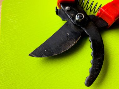 Canlı kırmızı saplı siyah bir bahçe budama makinesi kullanıma hazır, işlevselliği bir renk patlaması ile harmanlıyor. Bu kullanışlı araç kolay ve stil ile bahçıvanlık görevleri ele almak için hazırlanmış.