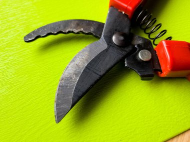 Canlı kırmızı saplı siyah bir bahçe budama makinesi kullanıma hazır, işlevselliği bir renk patlaması ile harmanlıyor. Bu kullanışlı araç kolay ve stil ile bahçıvanlık görevleri ele almak için hazırlanmış.