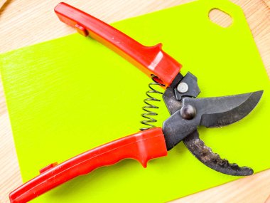 Canlı kırmızı saplı siyah bir bahçe budama makinesi kullanıma hazır, işlevselliği bir renk patlaması ile harmanlıyor. Bu kullanışlı araç kolay ve stil ile bahçıvanlık görevleri ele almak için hazırlanmış.