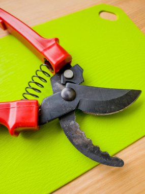 Canlı kırmızı saplı siyah bir bahçe budama makinesi kullanıma hazır, işlevselliği bir renk patlaması ile harmanlıyor. Bu kullanışlı araç kolay ve stil ile bahçıvanlık görevleri ele almak için hazırlanmış.