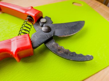 Canlı kırmızı saplı siyah bir bahçe budama makinesi kullanıma hazır, işlevselliği bir renk patlaması ile harmanlıyor. Bu kullanışlı araç kolay ve stil ile bahçıvanlık görevleri ele almak için hazırlanmış.