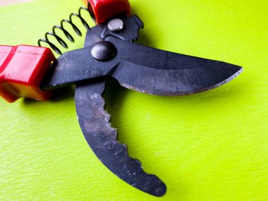 Canlı kırmızı saplı siyah bir bahçe budama makinesi kullanıma hazır, işlevselliği bir renk patlaması ile harmanlıyor. Bu kullanışlı araç kolay ve stil ile bahçıvanlık görevleri ele almak için hazırlanmış.