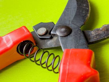 Canlı kırmızı saplı siyah bir bahçe budama makinesi kullanıma hazır, işlevselliği bir renk patlaması ile harmanlıyor. Bu kullanışlı araç kolay ve stil ile bahçıvanlık görevleri ele almak için hazırlanmış.