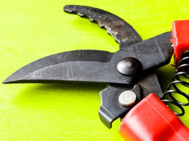 Canlı kırmızı saplı siyah bir bahçe budama makinesi kullanıma hazır, işlevselliği bir renk patlaması ile harmanlıyor. Bu kullanışlı araç kolay ve stil ile bahçıvanlık görevleri ele almak için hazırlanmış.