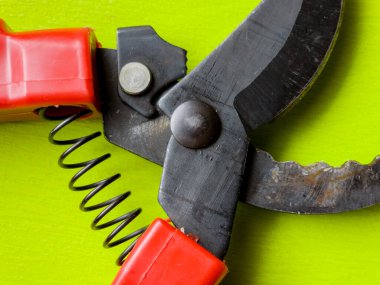 Canlı kırmızı saplı siyah bir bahçe budama makinesi kullanıma hazır, işlevselliği bir renk patlaması ile harmanlıyor. Bu kullanışlı araç kolay ve stil ile bahçıvanlık görevleri ele almak için hazırlanmış.