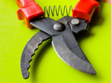 Canlı kırmızı saplı siyah bir bahçe budama makinesi kullanıma hazır, işlevselliği bir renk patlaması ile harmanlıyor. Bu kullanışlı araç kolay ve stil ile bahçıvanlık görevleri ele almak için hazırlanmış.