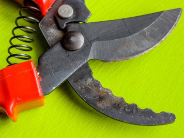 Canlı kırmızı saplı siyah bir bahçe budama makinesi kullanıma hazır, işlevselliği bir renk patlaması ile harmanlıyor. Bu kullanışlı araç kolay ve stil ile bahçıvanlık görevleri ele almak için hazırlanmış.